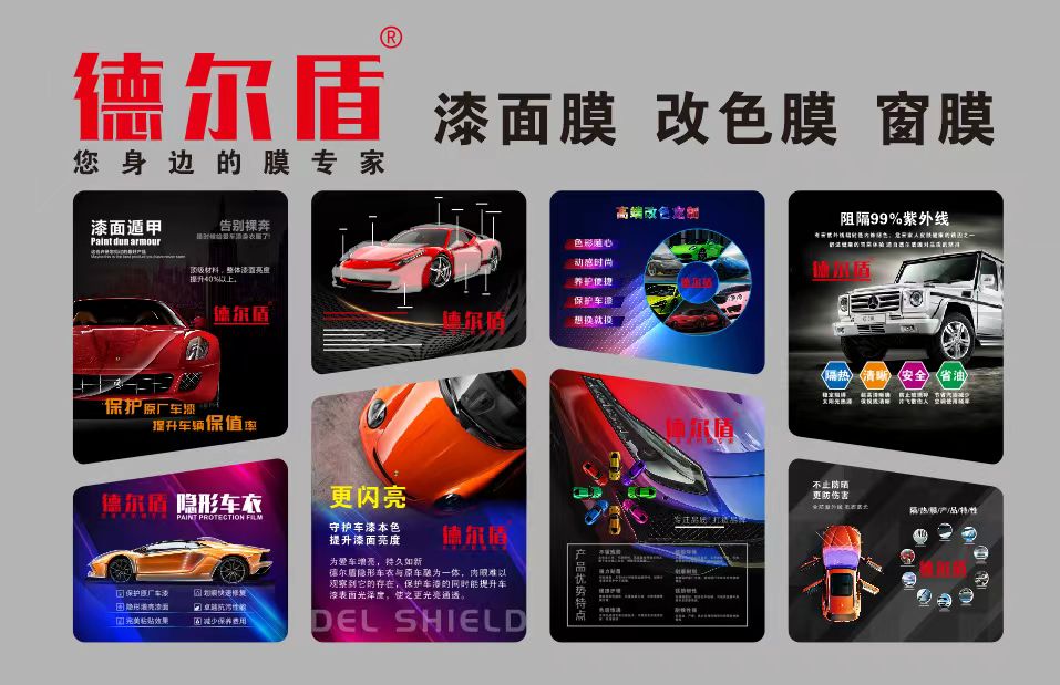 德尔盾2.jpg